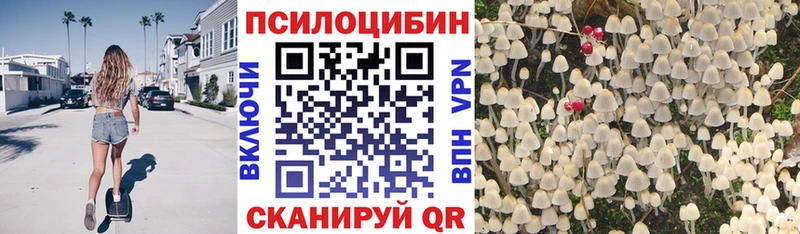 Галлюциногенные грибы прущие грибы KRAKEN маркетплейс это телеграм Богучар
